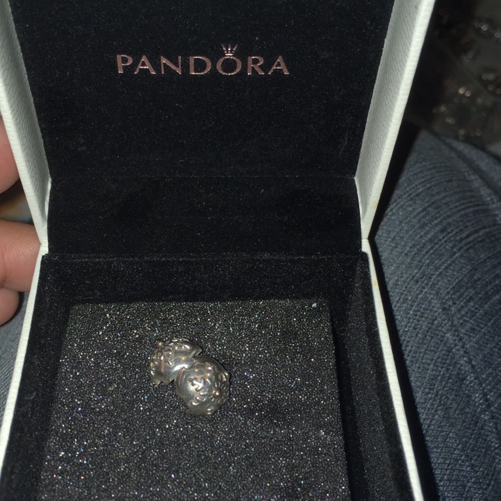 Pandora snowflake clip